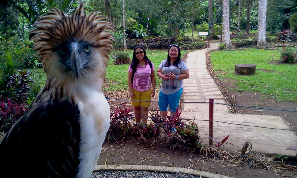 philippine eagle pag-asa davao