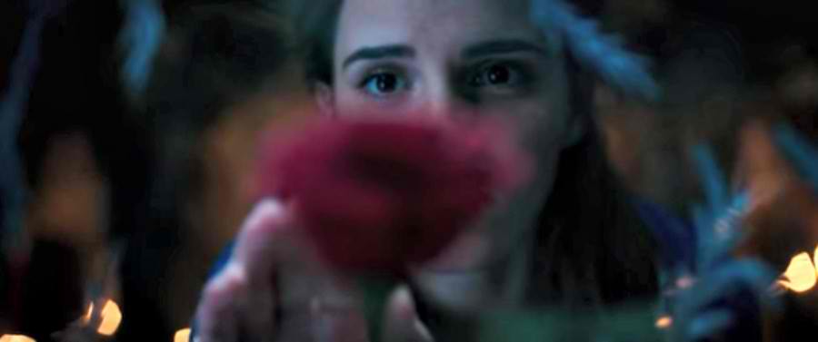 beauty and the beast emma watson red rose.jpg